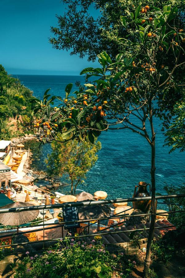 O' Vagnitiello - Parco Balneare Idroterapico - Camere - Ristorante Казамиччола-Терме Экстерьер фото